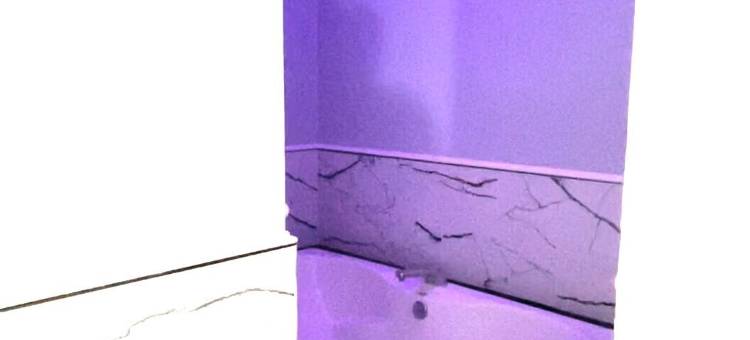 塔拉哈西呗盟套房酒店(Baymont by Wyndham Tallahassee)图片