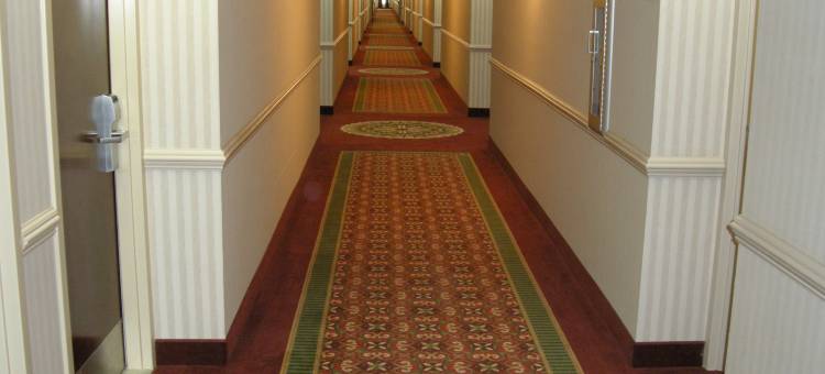 智选假日套房酒店科林斯(Holiday Inn Express & Suites Corinth)图片