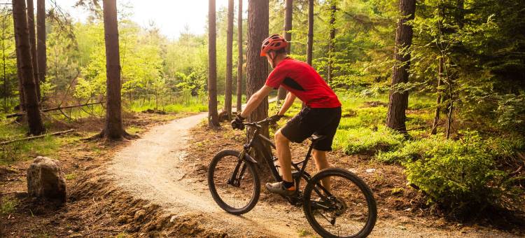 威斯敏斯特休闲旅馆(Relax Inn Westminster)图片