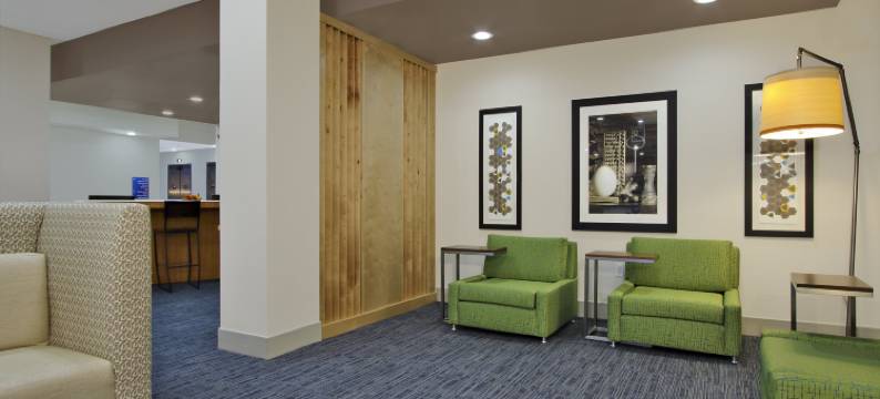 智选假日套房酒店-布鲁克希尔/凯蒂高速公路(Holiday Inn Express & Suites BROOKSHIRE - KATY FREEWAY by IHG)图片