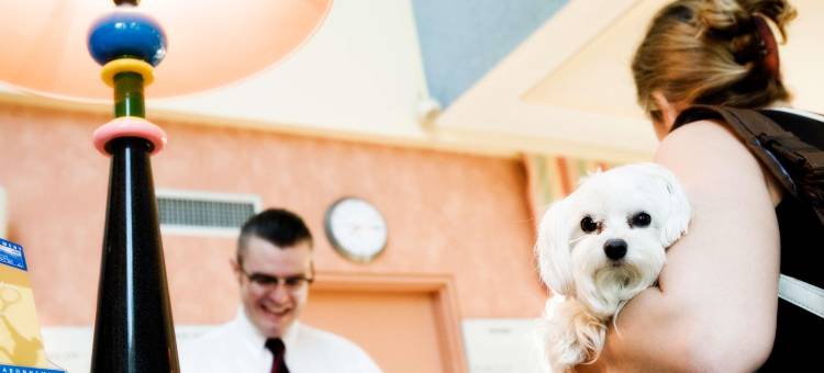 塞克什白堡美居匈牙利国王酒店(Mercure Szekesfehervar Magyar Kiraly)图片