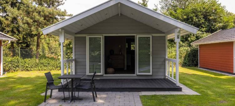 布拉班特的小房子，带舒适露台(Tiny House in Brabant with Cozy Terrace)图片