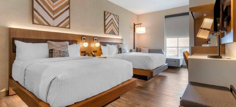 Vista的哥伦比亚市中心Cambria酒店(Cambria Hotel Columbia Downtown the Vista)图片