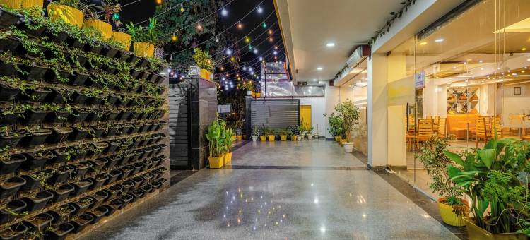酸橙树豪华工作室(Lime Tree Luxury Studio - Service Apartment Near Artemis Hospital ,Gurgaon)图片