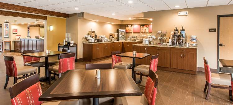 埃芬汉舒适套房酒店(Comfort Suites Effingham)图片