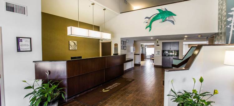 舒眠旅馆(Sleep Inn)图片