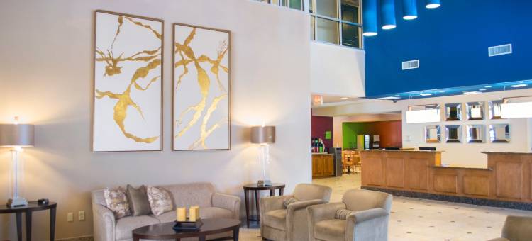 迈克艾伦温德姆花园酒店(Wyndham Garden McAllen at la Plaza Mall)图片