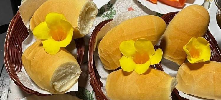 葡萄牙旅馆(POUSADA O PORTUGA)图片