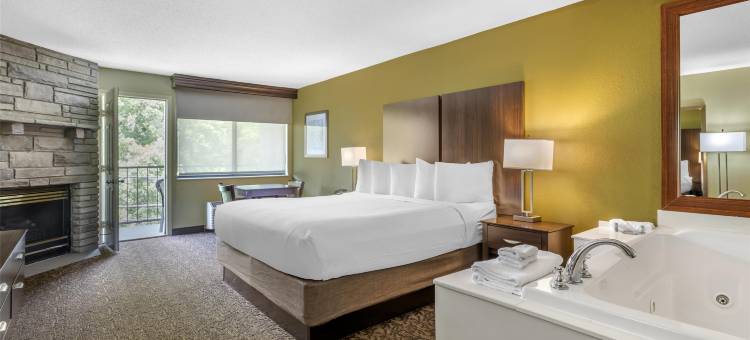 鸽子谷广场贝斯特韦斯特酒店(Best Western Plaza Inn)图片