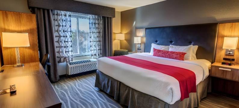 纳什维尔机场贝斯特韦斯特优质酒店(Best Western Plus Nashville Airport Hotel)图片