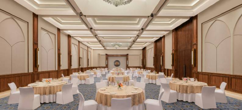 海得拉巴喜来登酒店(Sheraton Hyderabad Hotel)图片