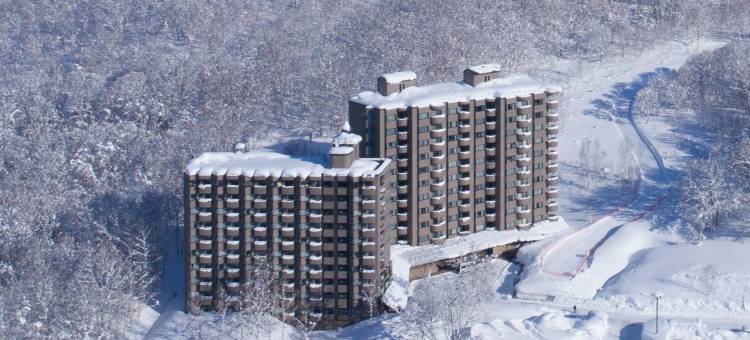 二世古塔度假酒店(One Niseko Resort Towers)图片