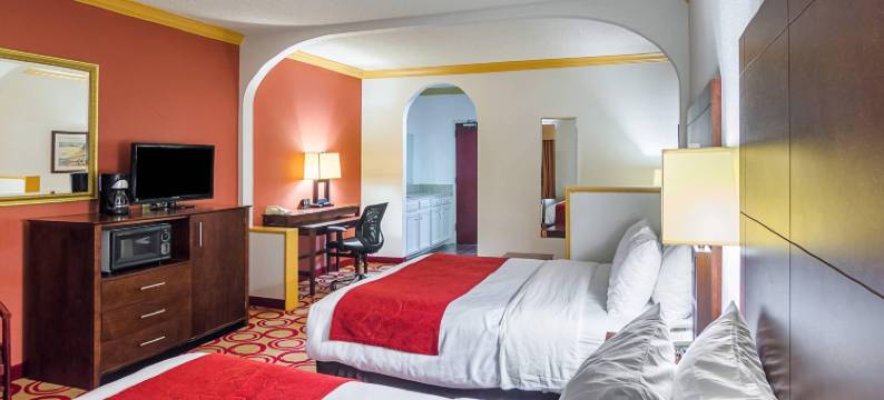 凯艺套房酒店(Quality Suites)图片