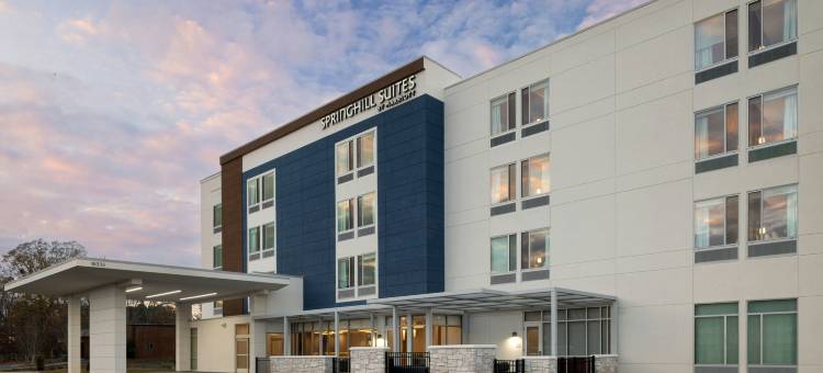 Springhill Suites By Marriott 亚特兰大科文顿(SpringHill Suites by Marriott Atlanta Covington)图片