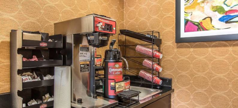 唐纳森维尔 - 冈萨雷斯郊区套房酒店(Suburban Studios Donaldsonville - Gonzales)图片