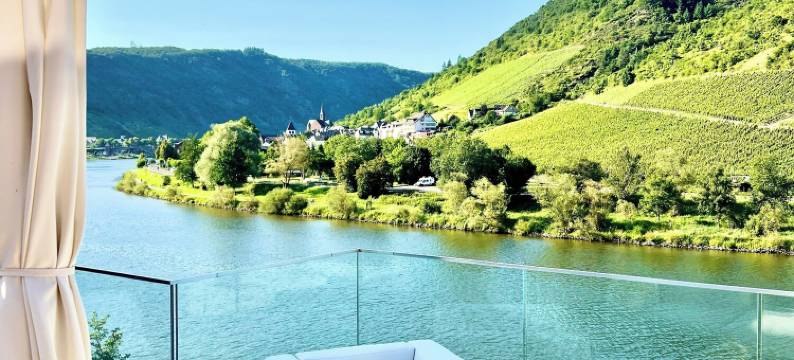 生活别墅酒店(Hotel Villa VIE Cochem)图片