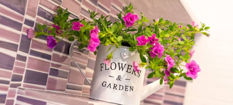 Apartment Auretta图片