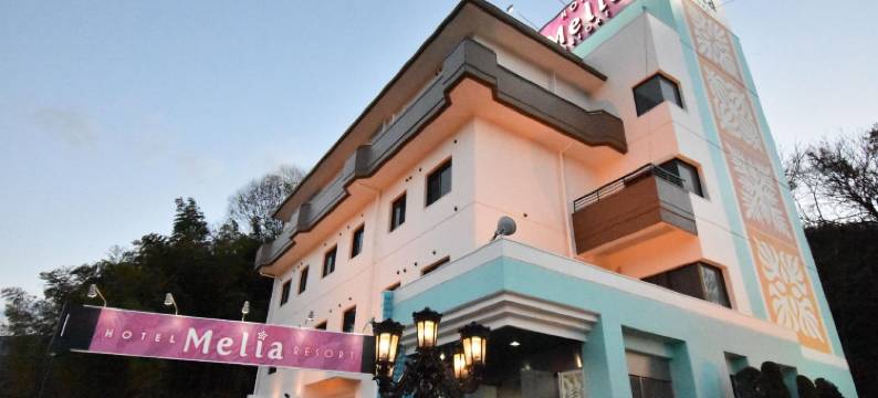 美利亚度假酒店 - 成人限定(Hotel Melia Resort(Adult Only))图片