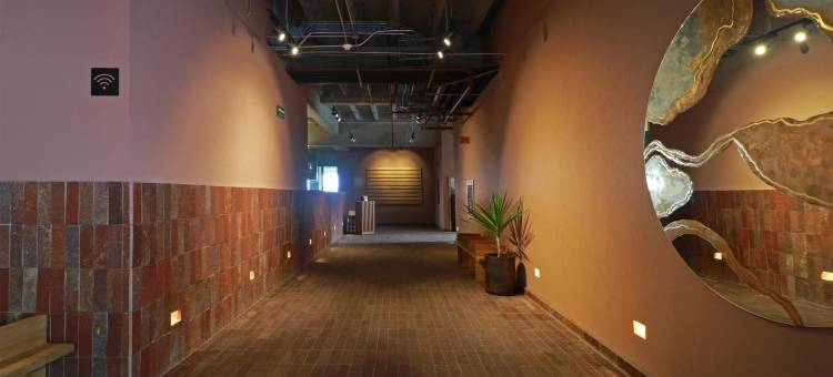 圣米格尔德阿连德阿尔博尔酒店，希尔顿启缤精选(Albor San Miguel de Allende, Tapestry Collection by Hilton)图片