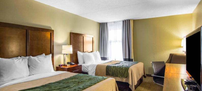 品质酒店(Mulberry Inn)图片