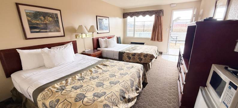 德兰赫勒Travelodge by Wyndham酒店(Travelodge by Wyndham Drumheller)图片