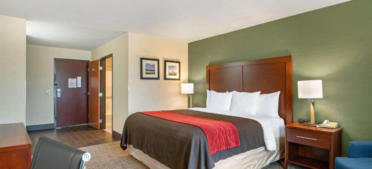 舒适套房酒店(Comfort Inn & Suites Salem)图片