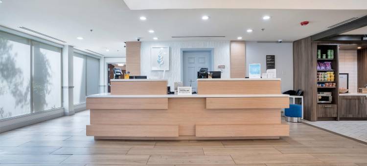 杰克逊维尔机场希尔顿花园酒店(Hilton Garden Inn Jacksonville-Airport)图片