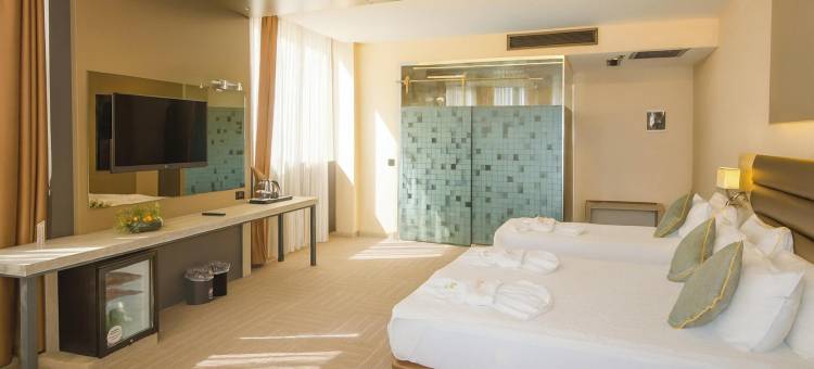 帝国酒店 伊斯坦布尔(Empire Hotel İstanbul)图片