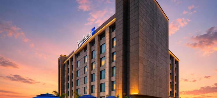 新德里帕池豪尔丽笙酒店(Radisson Hotel New Delhi Paschim Vihar)图片