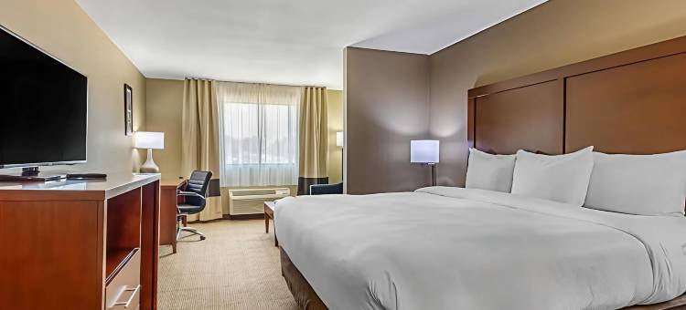 舒适套房酒店(Comfort Inn & Suites)图片