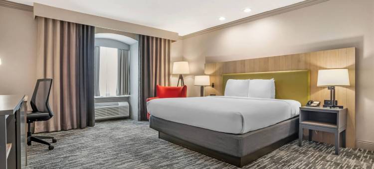 新奥尔良梅塔里丽怡酒店(Country Inn & Suites by Radisson, Metairie (New Orleans), La)图片