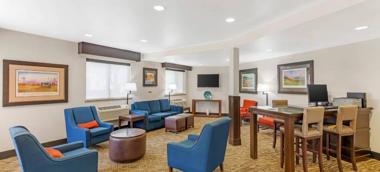 大学舒适酒店(Comfort Inn University)图片