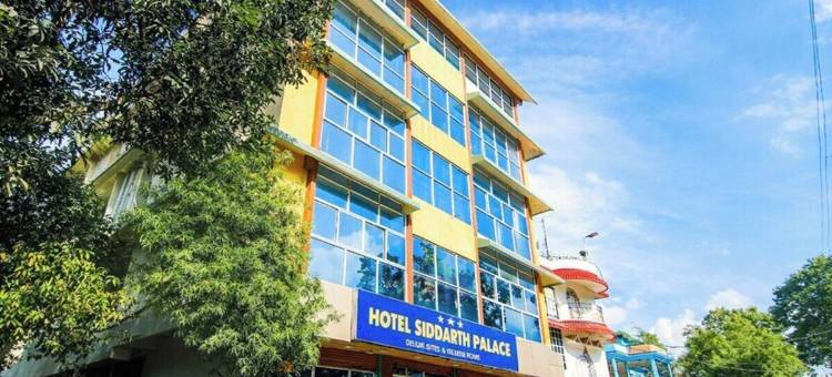 赛达斯宫酒店(Hotel Siddarth Palace)图片