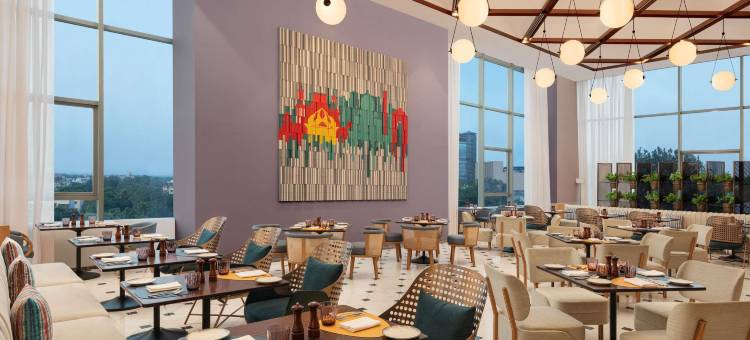 新德里市中心诺富特酒店(Novotel New Delhi City Centre)图片