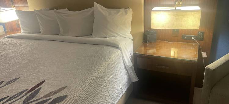海恩斯维尔红屋顶旅馆(Red Roof Inn & Suites Hinesville)图片