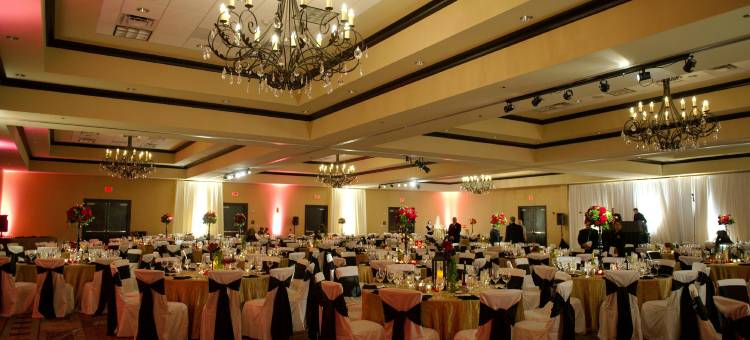 达拉斯南湖镇希尔顿酒店(Hilton Dallas/Southlake Town Square)图片