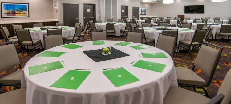 新奥尔良机场北假日酒店(Holiday Inn NEW ORLEANS AIRPORT NORTH by IHG)图片