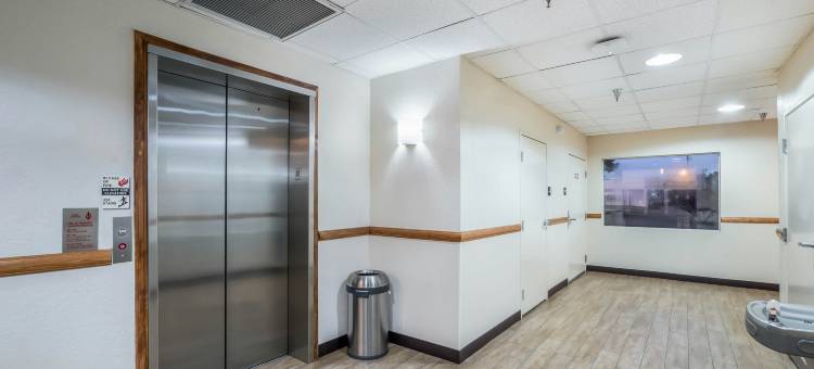奥卡拉红屋顶酒店(Red Roof Inn Ocala)图片