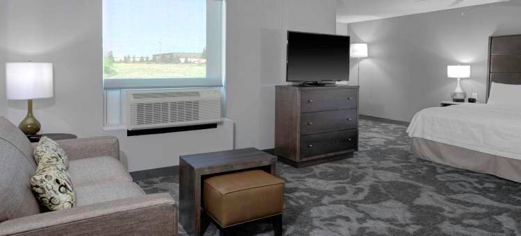 兰辛伊斯特伍德Homewood Suites by Hilton(Homewood Suites by Hilton Lansing Eastwood)图片
