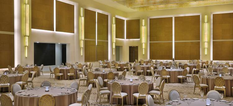 利雅得希尔顿酒店和公寓(Hilton Riyadh Hotel & Residences)图片