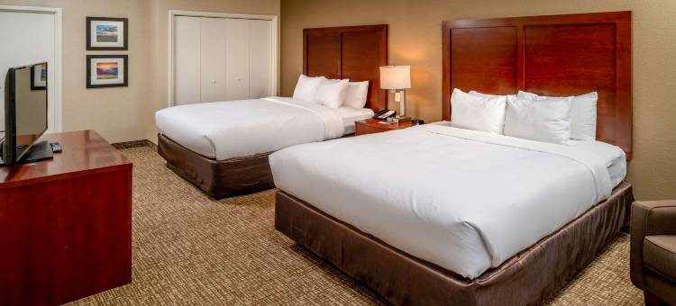 舒适套房酒店(Comfort Inn & Suites)图片