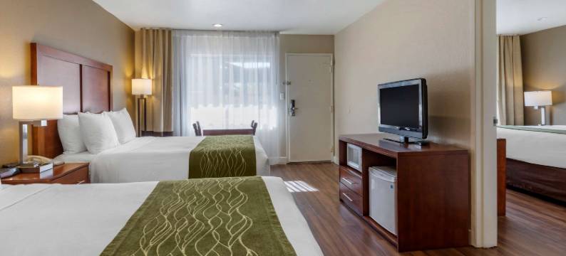 毕晓普舒适酒店(Comfort Inn Bishop)图片