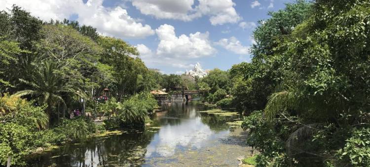 奥兰多维斯塔中心布埃纳维斯塔湖万怡酒店(Courtyard Orlando Lake Buena Vista at Vista Centre)图片