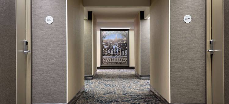 新奥尔良希尔顿机场酒店(Hilton New Orleans Airport)图片
