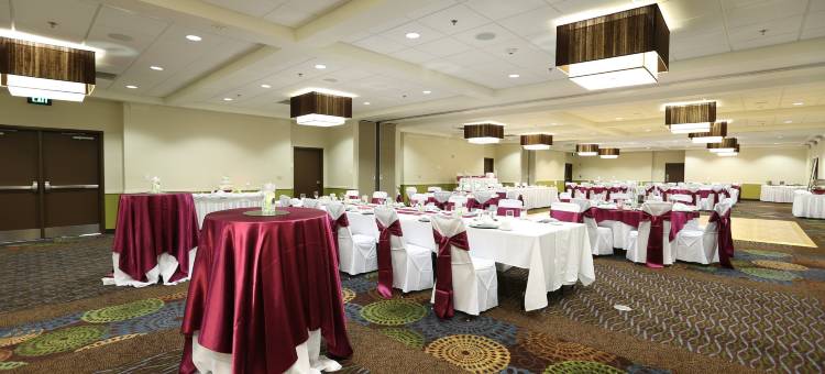 Holiday Inn & Suites 亚特兰大机场北(Holiday Inn & Suites Atlanta Airport-North)图片