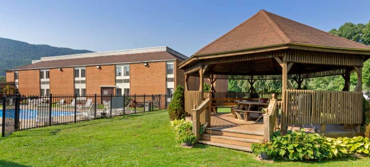 布卢菲尔特舒适酒店(Comfort Inn)图片