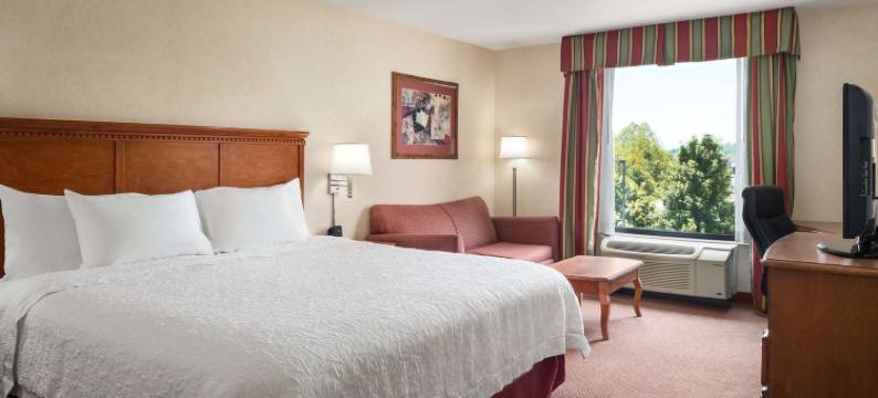 希尔顿欢朋酒店-贝勒弗农(Hampton Inn Belle Vernon)图片