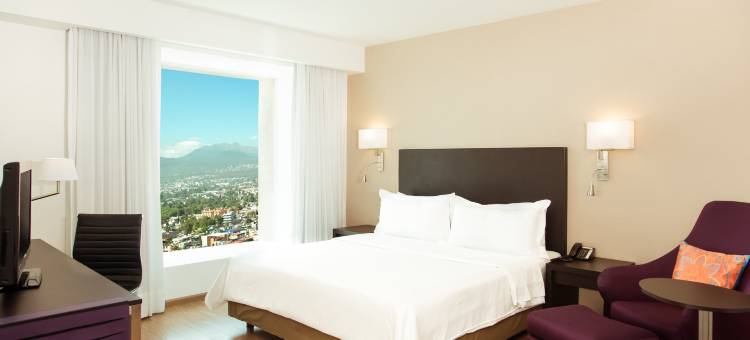 佩里费里克南费斯塔酒店 (Fiesta Inn Periferico Sur)图片