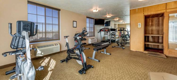 兰开斯特羚羊谷舒适套房酒店(Comfort Inn & Suites Lancaster Antelope Valley)图片