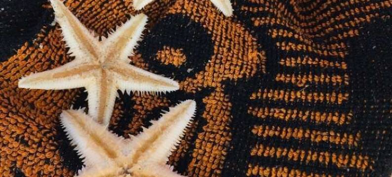 昌江棋子湾旅游彩虹度假公寓图片